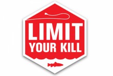 LimitYourKill