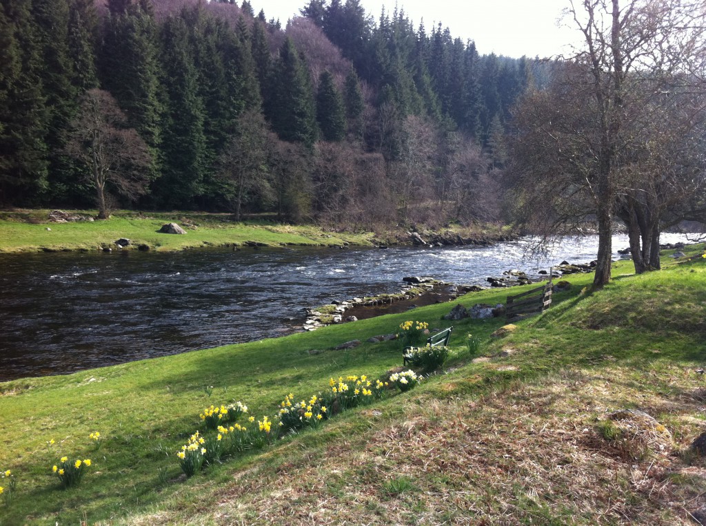 Cairnton_Malt_Steep