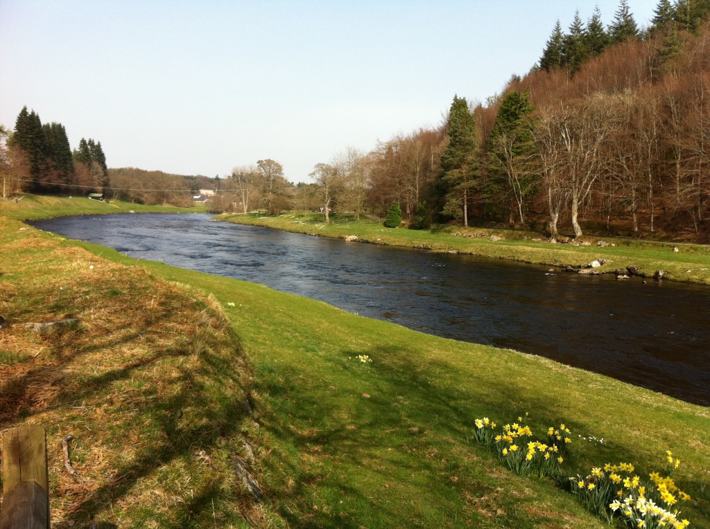 Cairnton_Rock_Heads