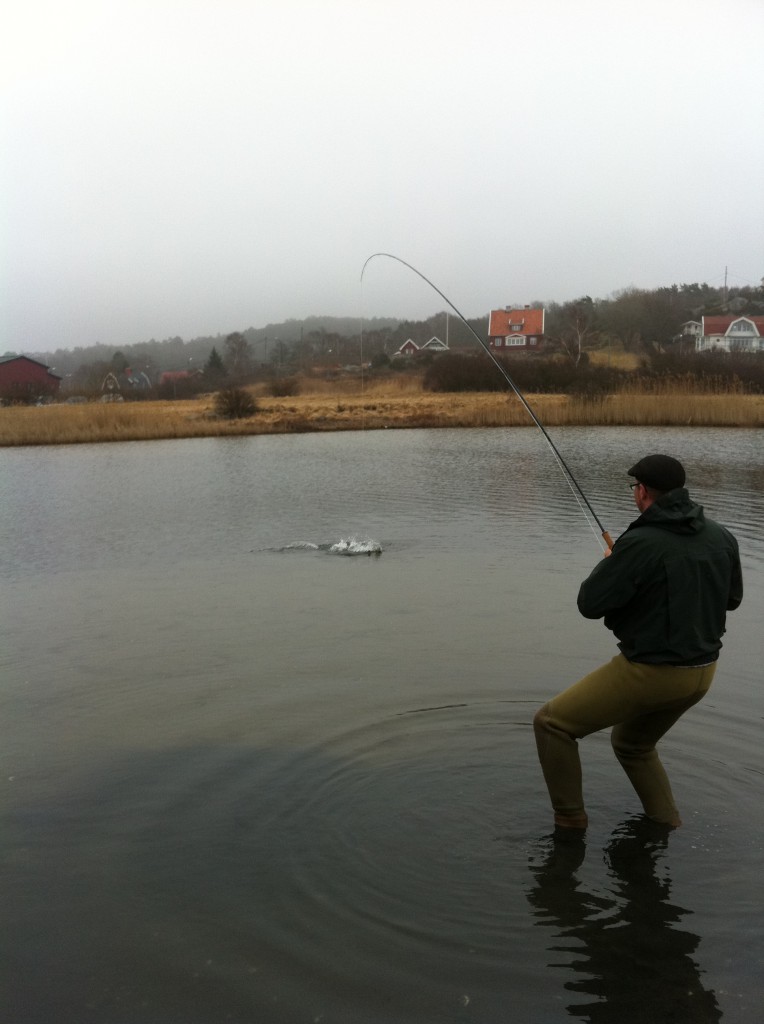 Härligt att drilla havsöring!
